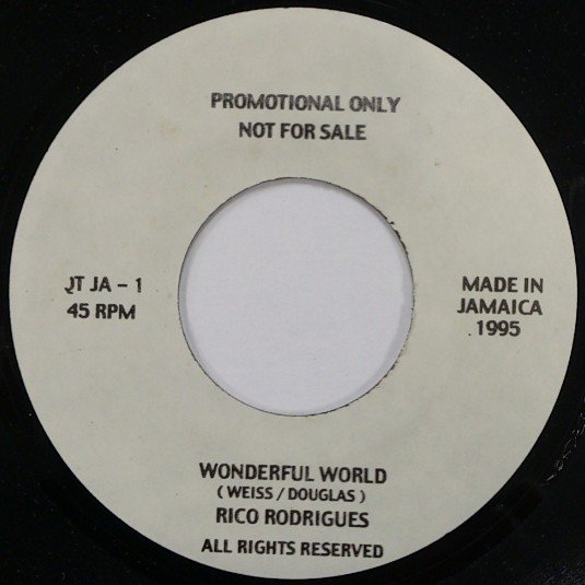 Rico Rodriguez - Wonderful World 