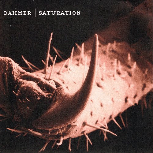 Saturation - Dahmer | Saturation