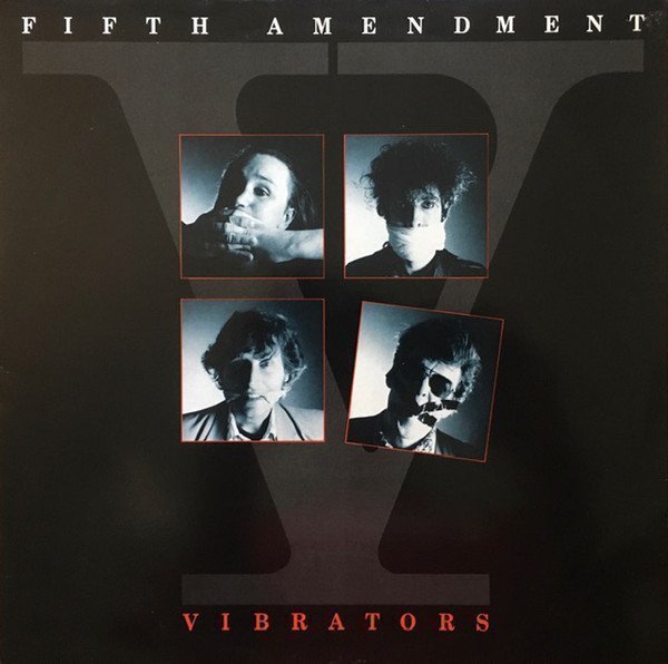 Vibrators - Fifth Amendment